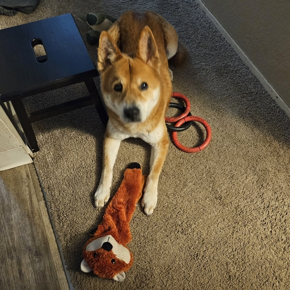 Pop-Up Live Show Listing - Picture 7 of 9